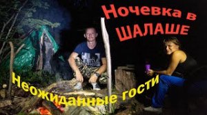 ОДИН В ЛЕСУ. НОЧЁВКА В ШАЛАШЕ.  ALONE IN THE FOREST. OVERNIGHT IN A SHELTER .