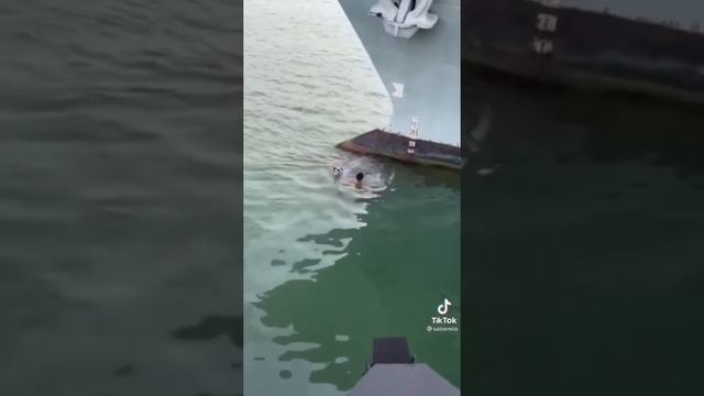 Man jumps into sea to rescue a cat stranded on a ship's bow смотреть онлайн