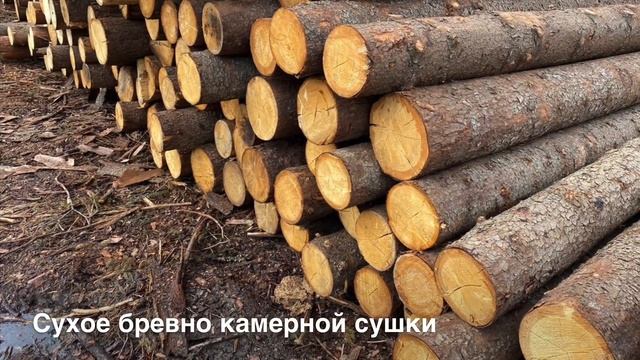 Сухое бревно камерной сушки смотреть онлайн