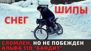 Альфа "Бандит" снова в строю