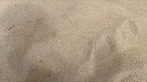 Пляжный поиск с металлоискателем