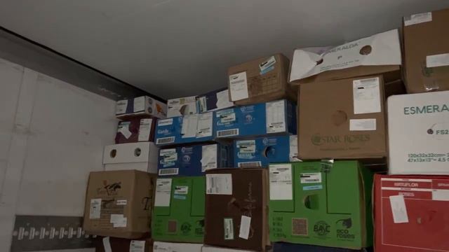 А вы говорите дальнобой— романтика! Каденция вздрогнет! Снова цветы грузим. Дальнобойщик по Европе смотреть онлайн