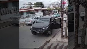 Хитрая собака за рулем.