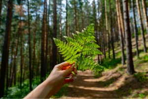 Движение – лучшее лекарство