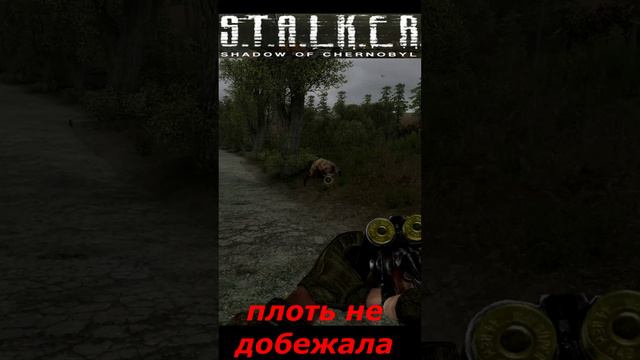 #shorts #S.T.A.L.K.E.R #НАРЕЗКА # ПРИКОЛ # плоть не добежала