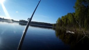 Летняя рыбалка рыбалка для души. Вытегорский район. Лето 2021г.