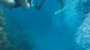 Egypt reserve Ras Mohammed diving 10/03/2023 | Египет заповедник Рас Мухаммед дайвинг 03.10.2023 го