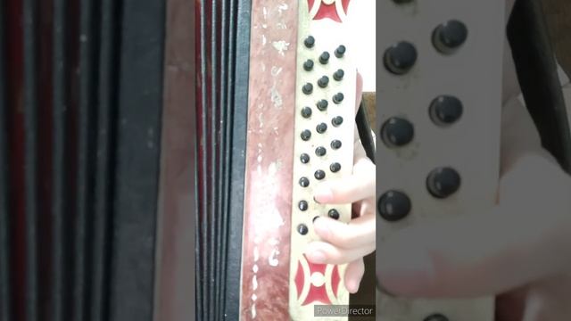 ТЕЛЕФОНДАР - разбор на гармони. Карим Муратов смотреть онлайн