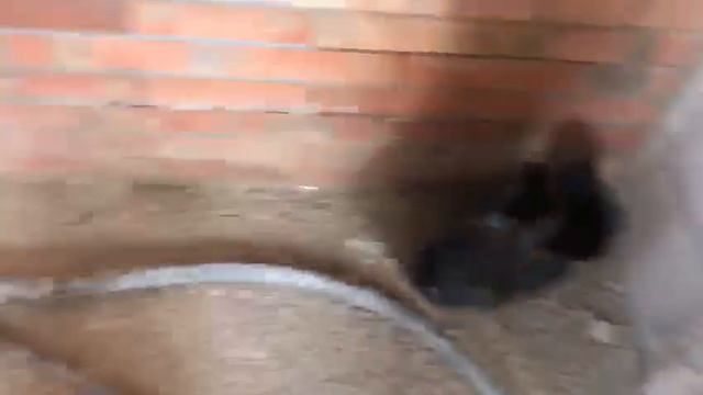 Новая модель "Профи плюс" в работе. Механизированная штукатурка стен смотреть онлайн