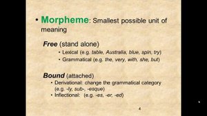 Lexicology Unit 10 Morphology