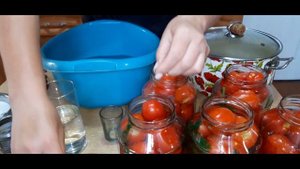 Помидоры с морковной ботвой