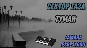 Туман / гр. Сектор газа / Cинтезатор Yamaha PSR-SX600