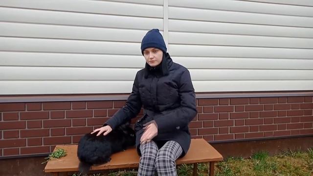 Почему у кроликов такие большие уши смотреть онлайн