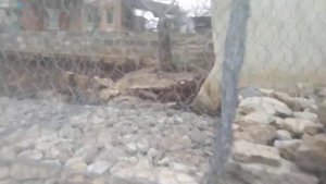 подпорная стена из Бута и рабицы