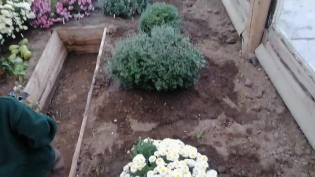 Cорняки исчезнут с огорода // Cамое лучшее мульчирование смотреть онлайн