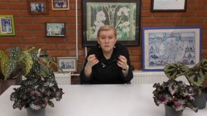 Отвечаем на вопросы наших зрителей №4