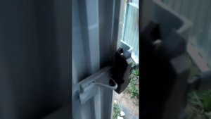 защелка для откатных ворот