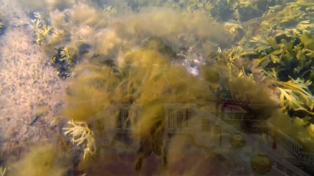 Цигун для начинающих с Косом. Урок 2. Актерское мастерство в Цигун смотреть онлайн