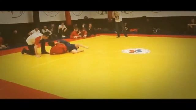 Центр Боевого Самбо имени.А.А Харлампиева смотреть онлайн