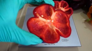 Шоколадный перец.Сорта сладкого перца которые оставлю на семена.