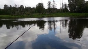 ГОЛАВЛЬ на жерлицы. Как поймать ГОЛОВЛЯ. Река Теза.