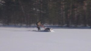 Расход топлива самодельной мотособаки. Двигатель Лифан.