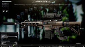 Хорошие сборки R-11 RSASS в Escape From Tarkov