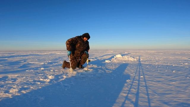Ловим Судака и готовим Бешбармак смотреть онлайн