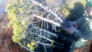 мотобуксировщик МУЖИК по весеннему болоту. подготовка к охоте!!!