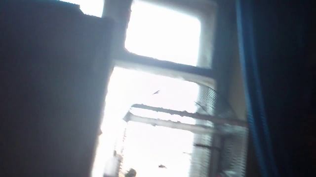 Клетка для белки смотреть онлайн