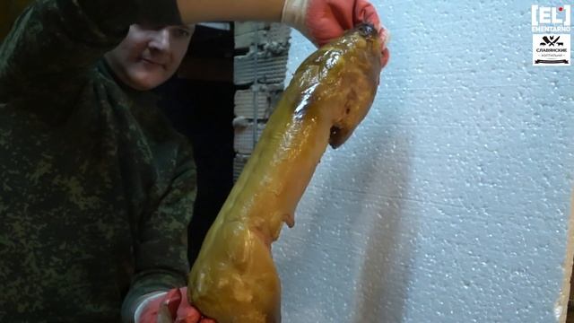 Кролик Копченый в Коптильне с Электростатикой.? Варено-Копченый Кролик в Домашних Условиях.? смотреть онлайн