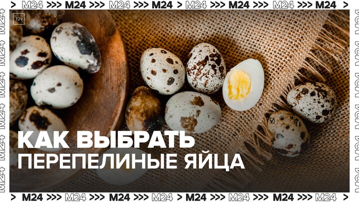 Нутрициолог объяснила, как выбрать перепелиные яйца — Москва 24