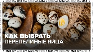 Нутрициолог объяснила, как выбрать перепелиные яйца — Москва 24