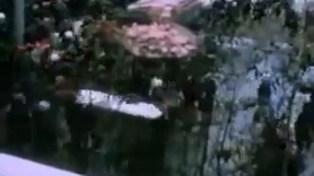 Гонения в СССР на церковь Божию МСЦ ЕХБ.
