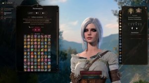 Baldur's gate 3 БИЛД ЦИРИ | ТАК ЗАРОЖДАЛАСЬ ИМБА [ ВОЛШЕБНИК  - СЛЕДОПЫТ ]