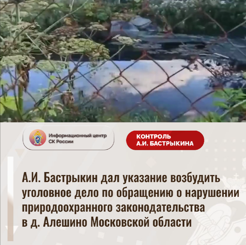 А.И. Бастрыкин дал указание возбудить уголовное дело о нарушении природоохранного законодательства
