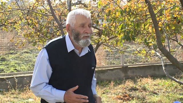 "Горькая память" смотреть онлайн