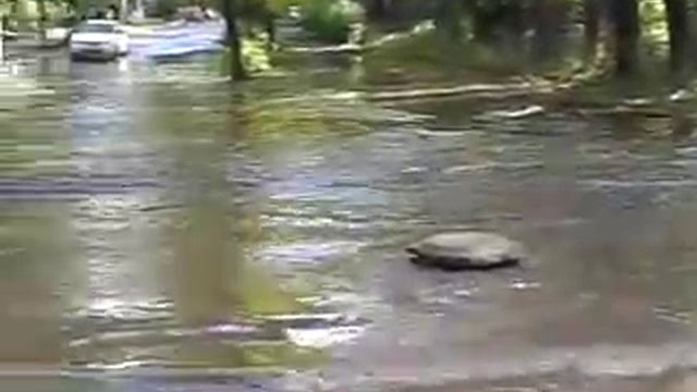 Город Невинномысск 9 школа смотреть онлайн