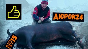 Nº15 ЗАБОЙ
СВИНОМАТКИ!!!/ УВЕЗЛИ МЯСО НА КОЛБАСУ-КОПЧЕНИЕ!!!