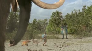 Dino Dana | Best of Herds - International Dinosaur Day