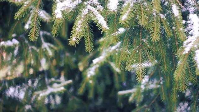 Ошо ДУХОВНОЕ БЛАЖЕНСТВО  #Просветление#Пробуждение