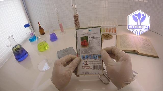 Томат Сахарная Слива красная. Седек смотреть онлайн