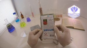 Томат Сахарная Слива красная. Седек