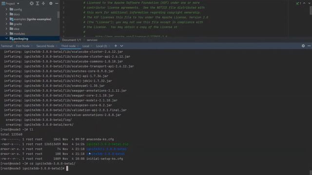 Seamless Product Installation with Apache Ignite смотреть онлайн