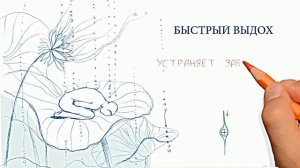 Янтра-йога в Москве. 8 движений