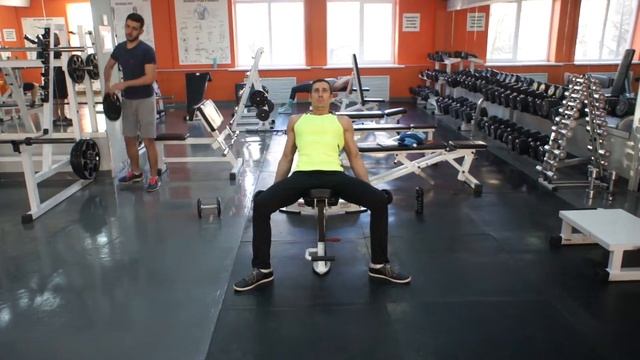 Сгибание рук с гантелями на наклонной скамье смотреть онлайн