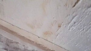 Как приклеить гипсовую плитку на долго?