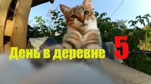 150 ведер и 55 яиц // Картофан и куры-старушки // День пятый в  поле