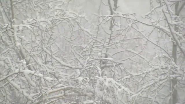 Посмотрите, снег идет! смотреть онлайн