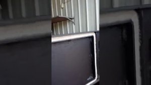 Котел Атом